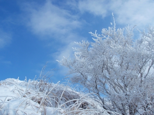 雪の韓国岳２日目_e0013365_17511035.jpg