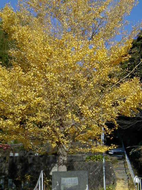 c0011169_17551182.jpg