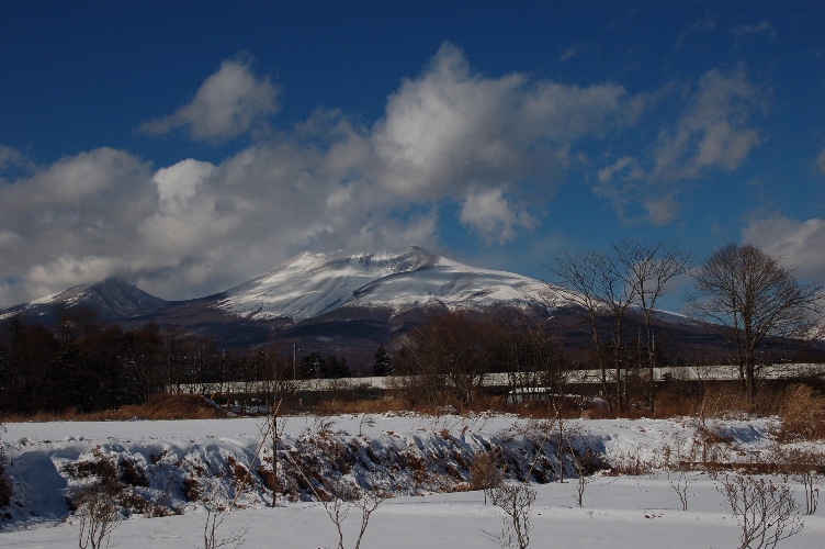 雪景色_d0056382_17552935.jpg