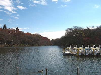 artigana-gのTOKYO・13_b0055196_12222255.jpg