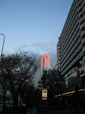 c0069903_8251919.jpg