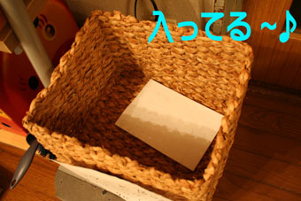 e0072606_074769.jpg