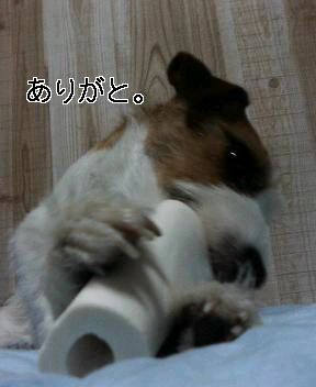 a0040708_1034338.jpg