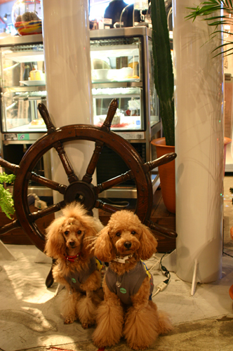 a0016311_036243.jpg