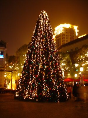 日記。_a0012423_1274030.jpg