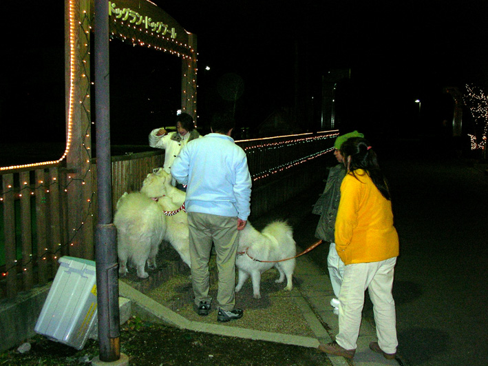 c0035838_2251644.jpg