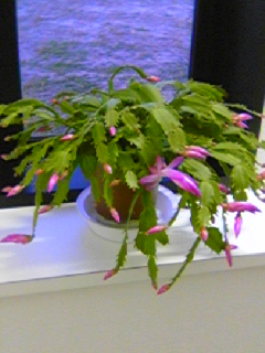 e0067640_17393293.jpg