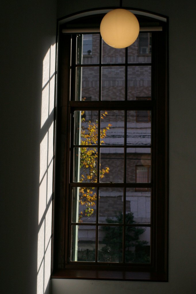 d0001745_2413485.jpg