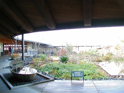 高知県立　牧野植物園・牧野富太郎記念館_b0032054_12102598.jpg