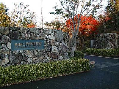 高知県立　牧野植物園・牧野富太郎記念館_b0032054_1282494.jpg