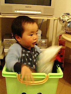 d0001854_1559319.jpg