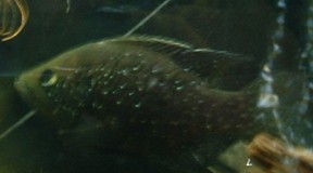 e0049877_3441142.jpg