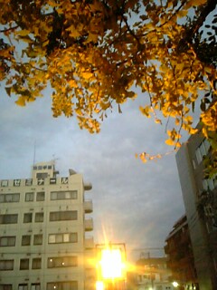 c0037701_025731.jpg