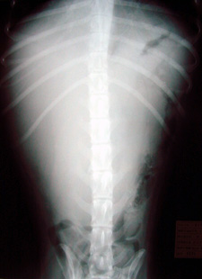 e0001906_20263048.jpg