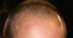 a0037414_2024886.jpg