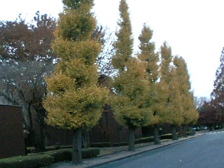 d0008724_224401.jpg