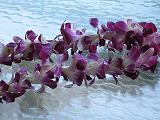 a0043326_171407.jpg