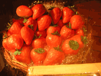 a0021540_2541663.gif
