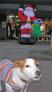 b0065067_1143220.gif