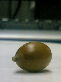 a0028803_21383180.jpg
