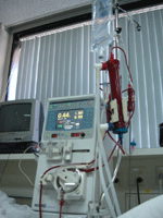 b0043506_023898.gif