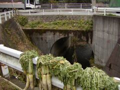 e0013408_0335749.jpg