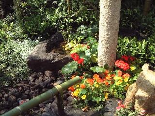 しずおか緑・花・祭「トピアリーとお友達」_f0017413_1023183.jpg