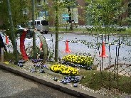 丸の内ガーデニングショーにご協力頂いた皆様_f0017413_16311990.jpg
