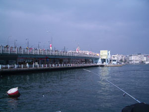 c0009224_11471885.jpg
