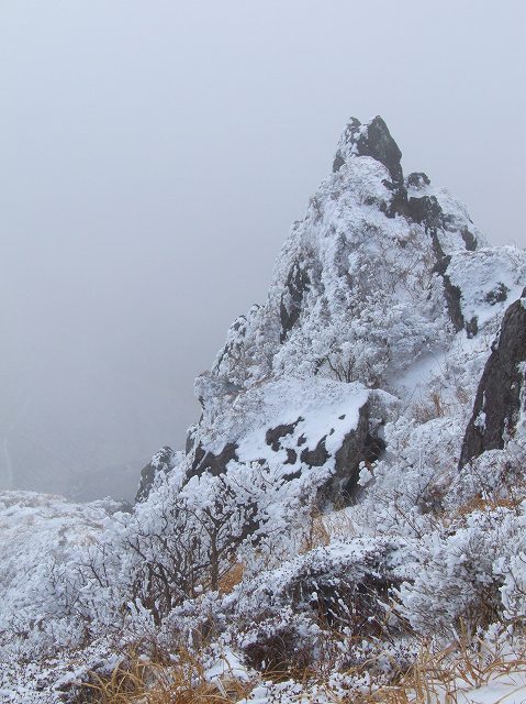 由布山の霧氷　１２月１０日(土)_c0012140_21221234.jpg