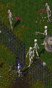 c0022646_8133864.jpg