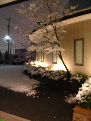 雪が積もり始めました。_e0084756_22302367.jpg