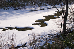 a0058657_9554747.jpg