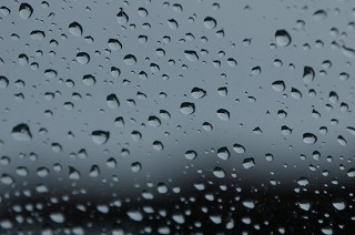 e0030599_2237437.jpg
