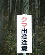 d0032405_19332447.jpg