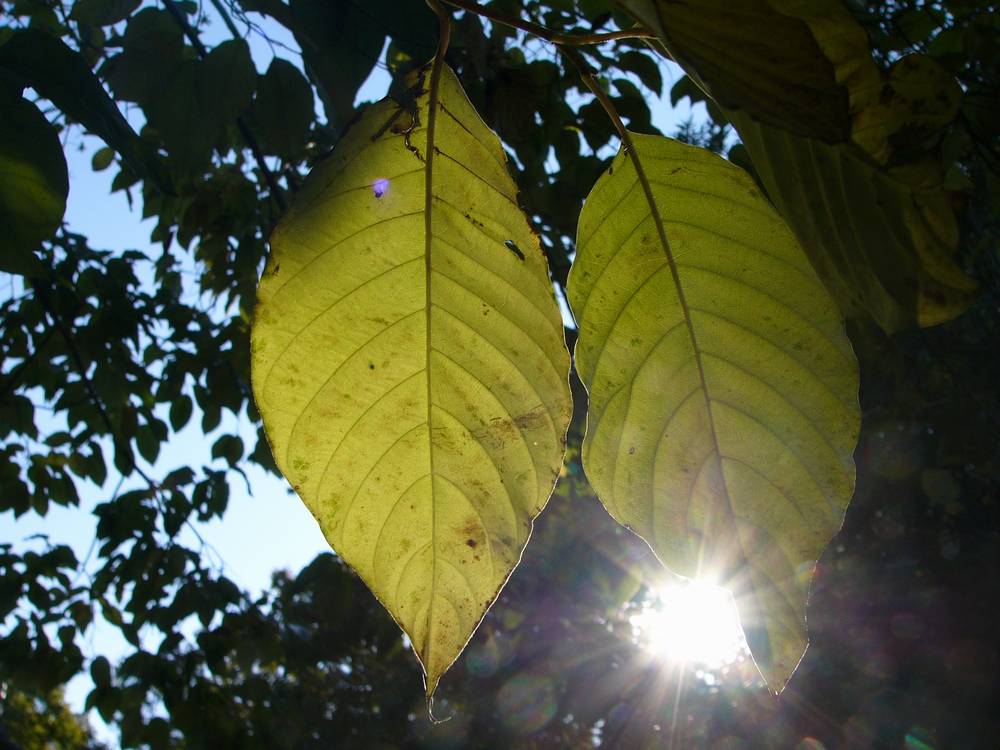 c0062511_12283495.jpg