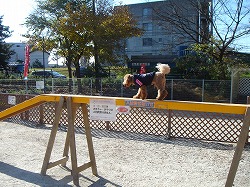 d0023323_2216338.jpg