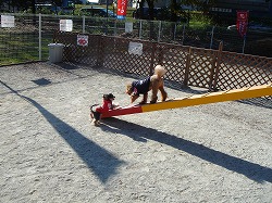 d0023323_22173685.jpg