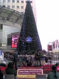 e0089238_13514792.jpg