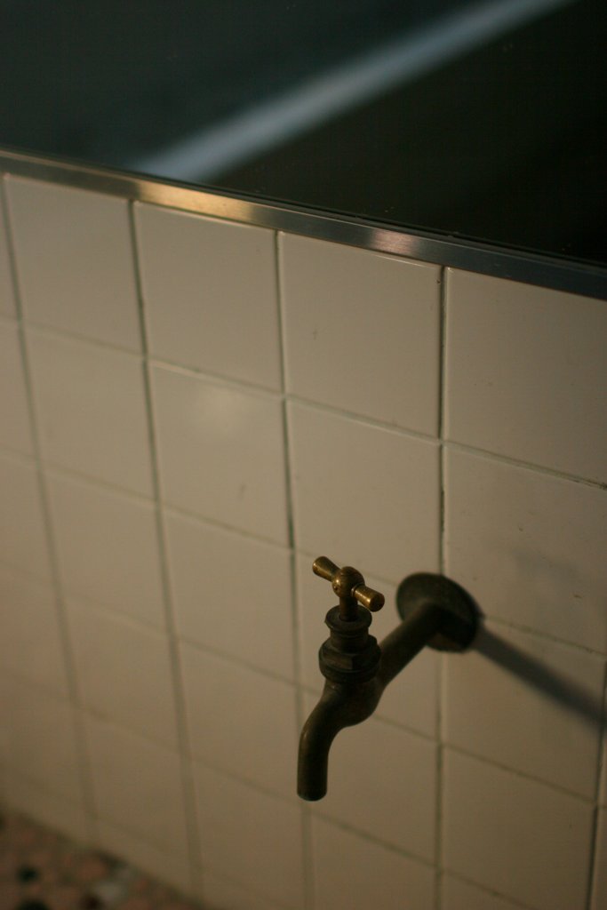 d0001745_347241.jpg
