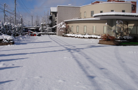 耳鼻科医の除雪日記(その1)_e0084756_1901410.jpg