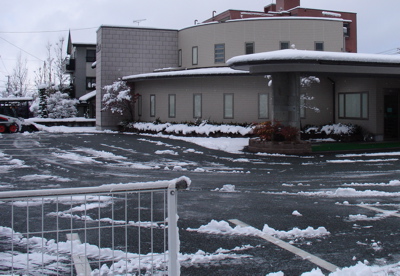 耳鼻科医の除雪日記(その1)_e0084756_191258.jpg