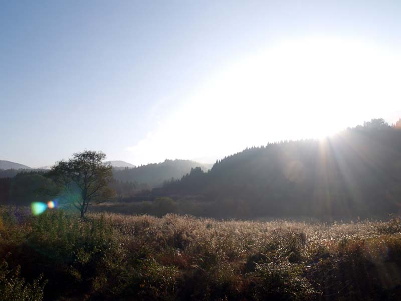e0019563_10212393.jpg