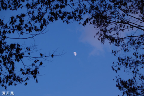 Moon 「天使と悪魔」_a0002073_06181.jpg