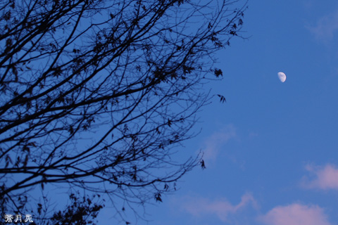 Moon 「天使と悪魔」_a0002073_064251.jpg