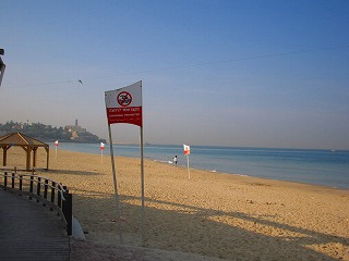 b0028579_245770.jpg