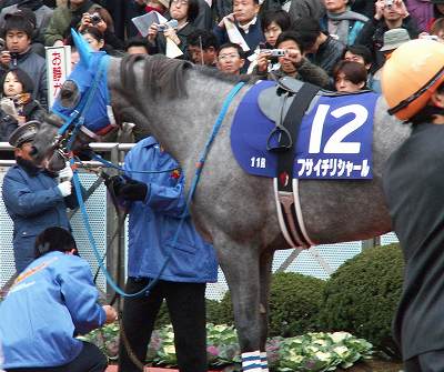 フサイチジャンク フサイチリシャール フサイチエアデール 口取写真