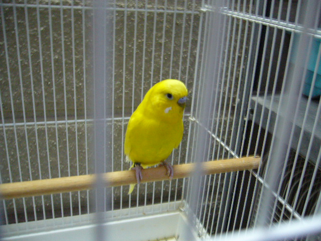 c0063795_22171246.jpg