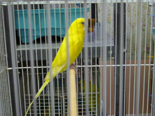 c0063795_22173440.jpg
