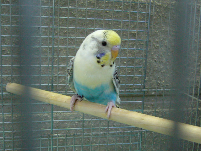 c0063795_22233899.jpg